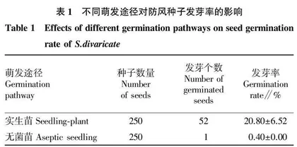 不同浓度激素配比对防风愈伤组织诱导及再分化的影响
