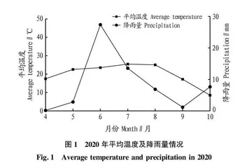 新陆早74号棉花器官同伸关系及棉铃空间分布的初步研究