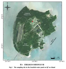 珠江口咸淡水池塘浮游动物群落结构特征及其影响因素