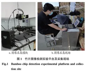 基于卷积神经网络的竹片颜色分类