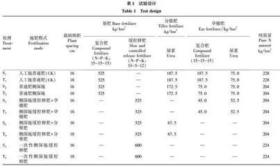杂交籼稻侧深施肥减氮增效模式研究