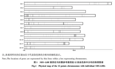 潜在马铃薯晚疫病抗性基因的表达和SNP标记分析