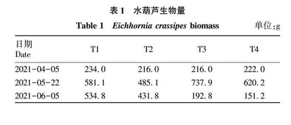 黄精植株构件生长与有效成分积累动态研究
