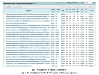 军配盲蝽的分子鉴定及其生物学特性