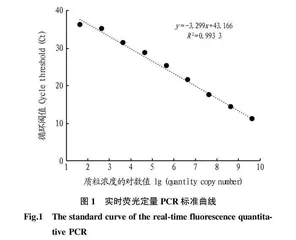 烟草花叶病毒实时荧光定量PCR检测体系的构建