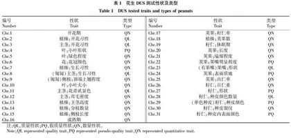 基于DUS测试性状的花生品种遗传多样性分析