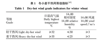 洛阳冬小麦干热风灾害特征及灾损评估