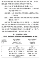 11%精甲•咯•嘧菌悬浮种衣剂对水稻恶苗病及稻瘟病的防治效果