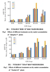 山旱区有机肥的施用对马铃薯干物质积累及产量的影响