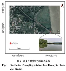四川省南充市顺庆区芦溪河口鱼类的种类组成及多样性分析