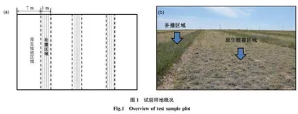 季节性放牧对补播改良荒漠草原植物群落地上生物量及物种多样性的影响