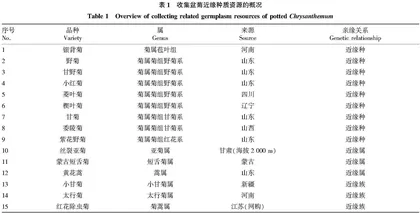 盆菊野生种质引种适应性综合评价