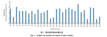 阜阳市薄荷品种精油成分分析
