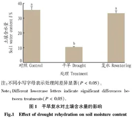 喀斯特特有耐旱植物地枫皮抗氧化系统的水分响应特征研究