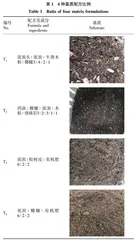 模块式立体绿化基质筛选
