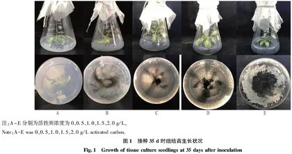 活性炭在华北蓝盆花离体培养中的应用