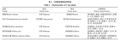 5种藤本植物在重度石漠化地区的光合特性及适应性评价