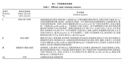 闽江源杉木退化人工林修复改造效果