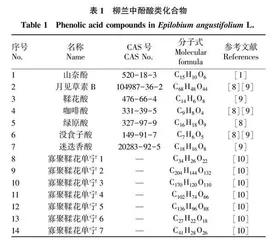 柳兰化学成分及药理作用研究进展