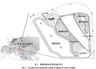 人工湿地常见水生动植物体氟化物含量及氟化物净化效果研究