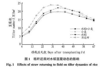 江淮稻-麦周年秸秆机械化还田技术研究