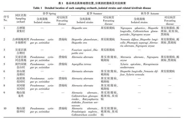 安徽省金寨县猕猴桃病害调查