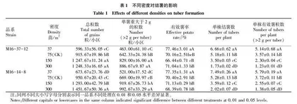 马铃薯试管苗秋季种植密度对结薯及质量的影响