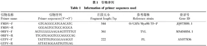 羊口蹄疫病毒·羊口疮病毒和山羊痘病毒多重PCR检测方法的建立及应用