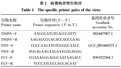 一例中华鳖腮腺炎的诊断与防治