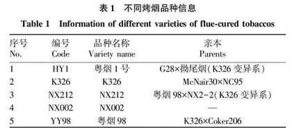广东烟区育种材料遗传性状及群体结构分析