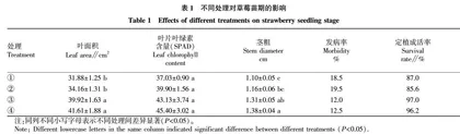 植物微生态制剂对草莓育苗·灰霉病及产量的影响