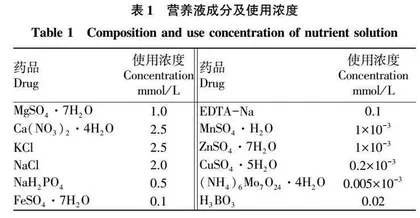 不同浓度硅处理对玉米苗期形态和根系特征的影响