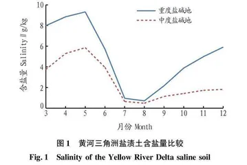 燕麦+木霉调控黄河三角洲盐渍土主要障碍因子效应研究