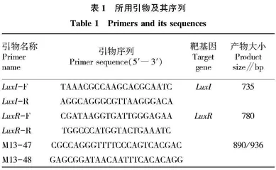 鮰爱德华菌密度感应系统LuxI/LuxR的克隆及生物信息学分析