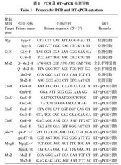 紫色红曲霉Mrr2基因的过表达对桔霉素积累的影响
