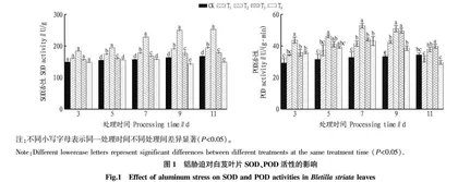 铝胁迫对白芨光合与生理特性的影响