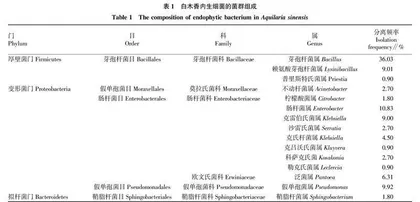 一株白木香不同组织内生菌的分离鉴定与多样性分析