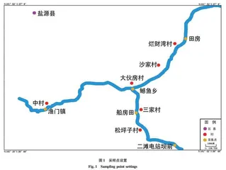 雅砻江二滩库区罗非鱼调查研究