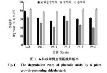 大豆根际对羟基苯甲酸降解菌分离及其促生功能研究