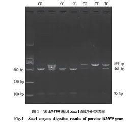 猪MMP9基因的多态性与产仔数性状的关联分析