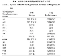 不同悬钩子属植物ITS序列的多态性分析