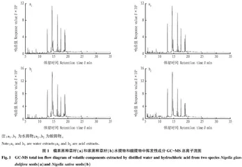 瘤果黑种草籽和家黑种草籽无机溶剂提取物中挥发性成分比较