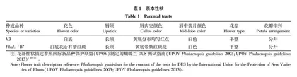 蝴蝶兰Phal.‘B’和Phalaenopsis.SogoYukidian‘V3’正反交后代花部性状分离表现
