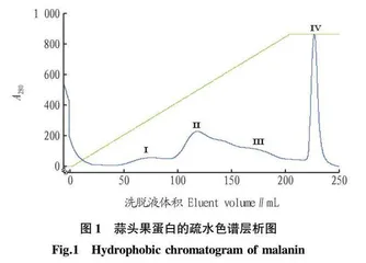 蒜头果蛋白氨基酸组成分析