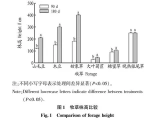 广东韶关林地6种牧草的种植适应性比较