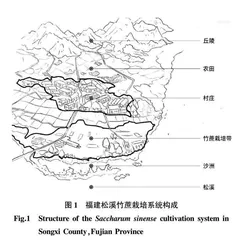 福建松溪竹蔗栽培系统的农业文化遗产价值及其保护利用