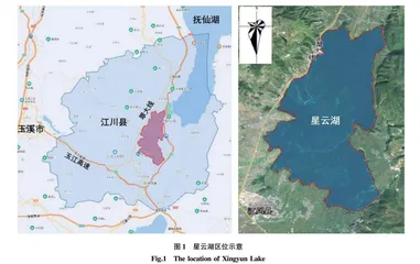 星云湖流域农村污水资源化利用工艺研究