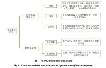 无人机施药法治理互花米草研究