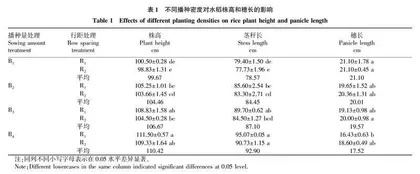 播种量和行距对穴旱直播水稻产量形成的影响
