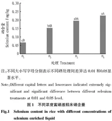 水稻富硒关键技术研究